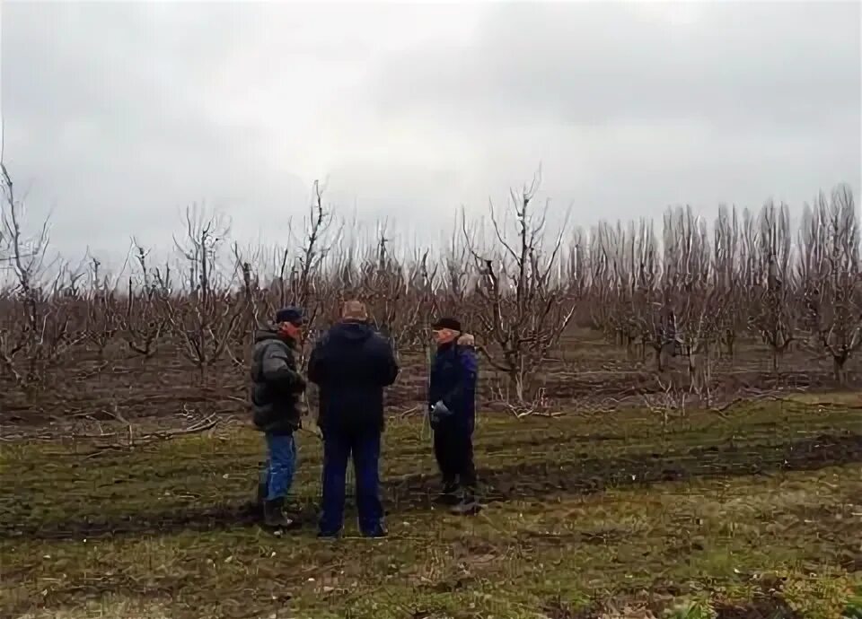 Поселок агроном краснодарский край. Погода в агрономе динского. Погода в агрономе динского. Совхоз агроном краснодарский край. Поселок агроном краснодарский край.