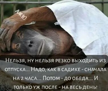 Когда людям можно выйти на работу