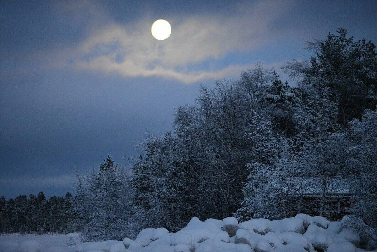 Луна снег. Зима Луна. Зима ночь. Зимний ночной пейзаж.