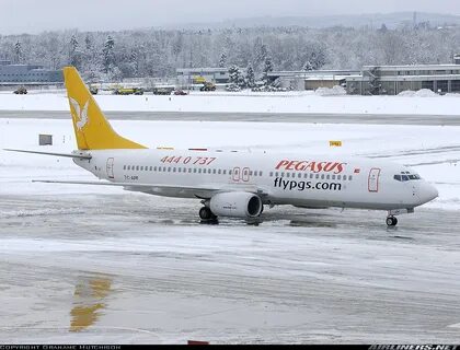 Pegasus airlines ручная