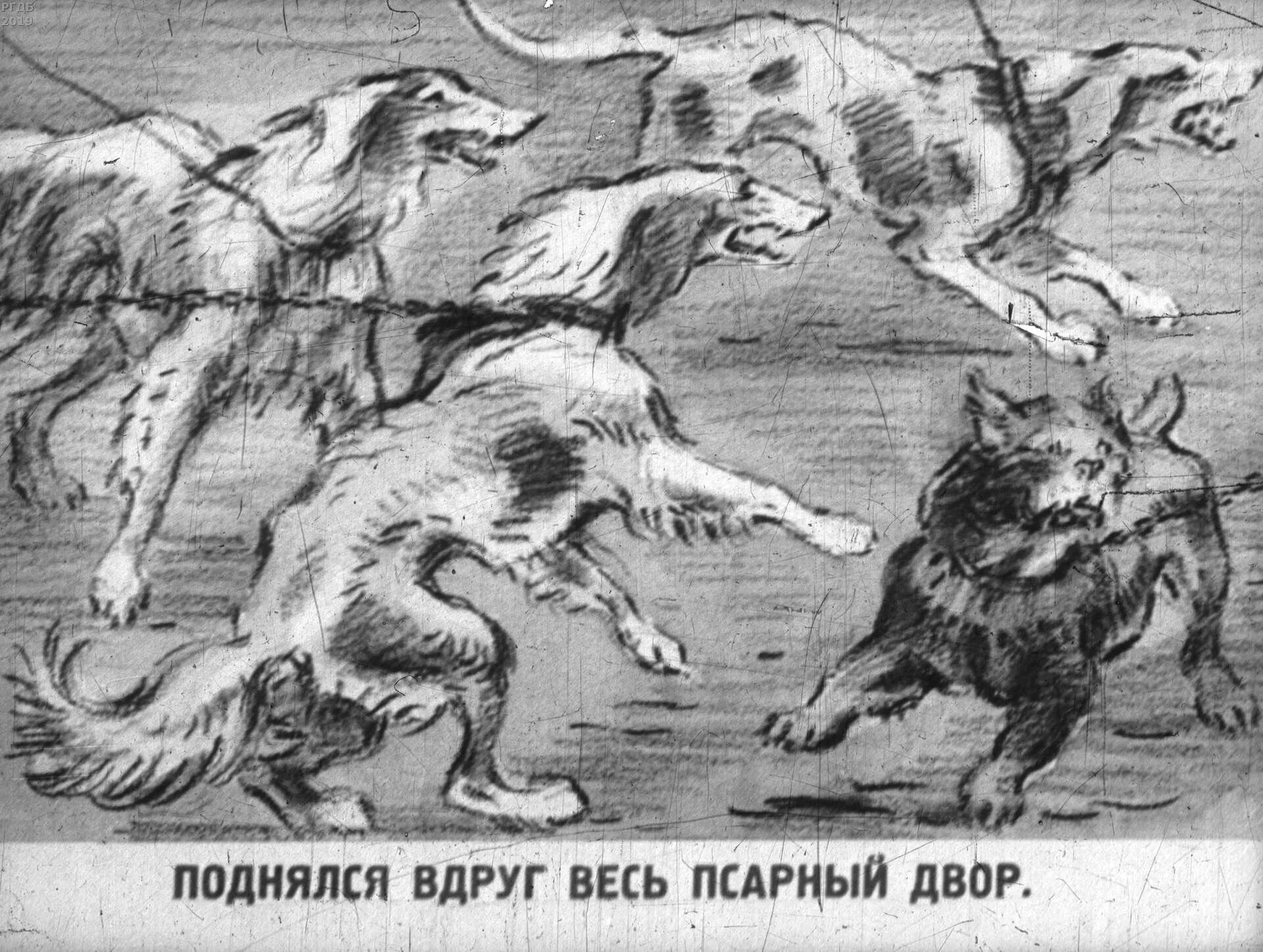Объяснить выражение попал на псарню