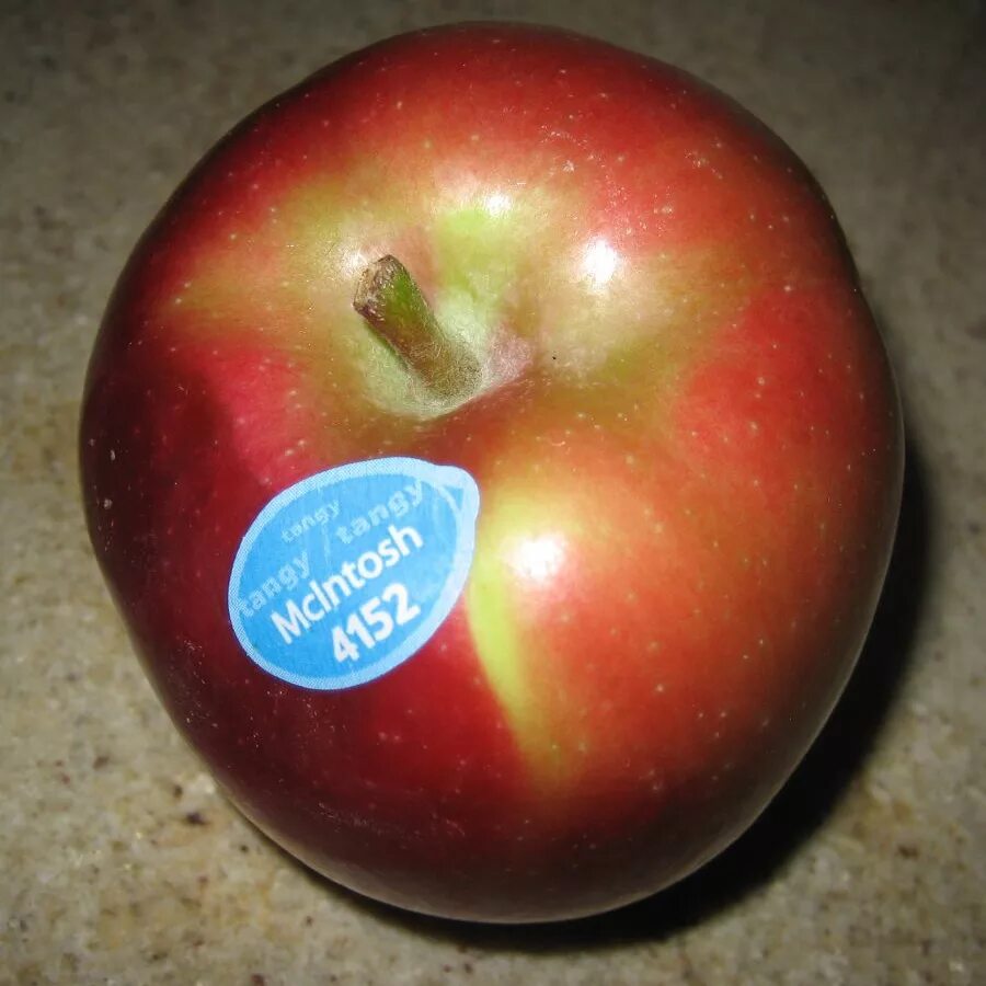 Макинтош (сорт яблони). Макинтош (сорт яблони) сорта яблони. Яблоня Мекинтош ред. Сорт яблок макинтош фото.