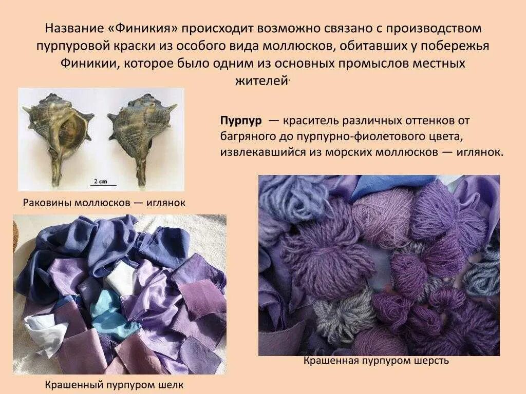 Финикия пурпурные ткани. Пурпурная краска Финикия 5 класс. Изобретения финикийцев пурпурная краска. Пурпурная краска.