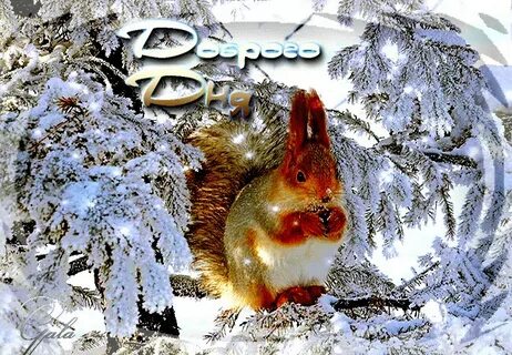 Ой февраля