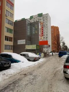 Мята королев