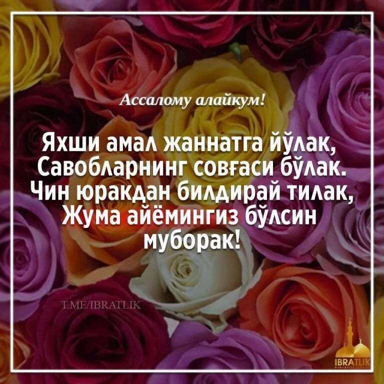 Эрин севишганлар. Жуфти халолим. Eng yaxshi. Расм статуслар. Eng yaxshi.