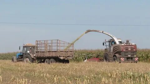 На новом комбайне убрали зерно за 56