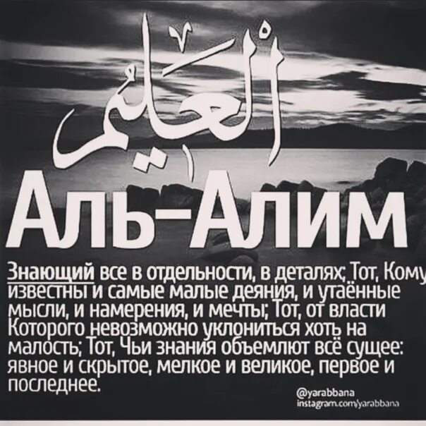 Алим гулмирзо. Картинки с именем алим. Слово алим. Слово алим. Слово алим.