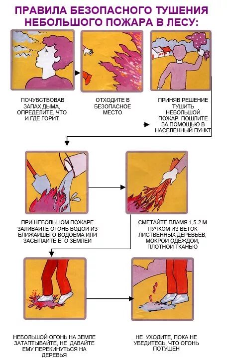 Действия при низовом пожаре. Действия при низовом пожаре. Алгоритм действий при лесном пожаре. Алгоритм действий при пожаре в лесу. Правила тушения небольшого пожара.