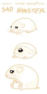 Sad hamster violin hamster