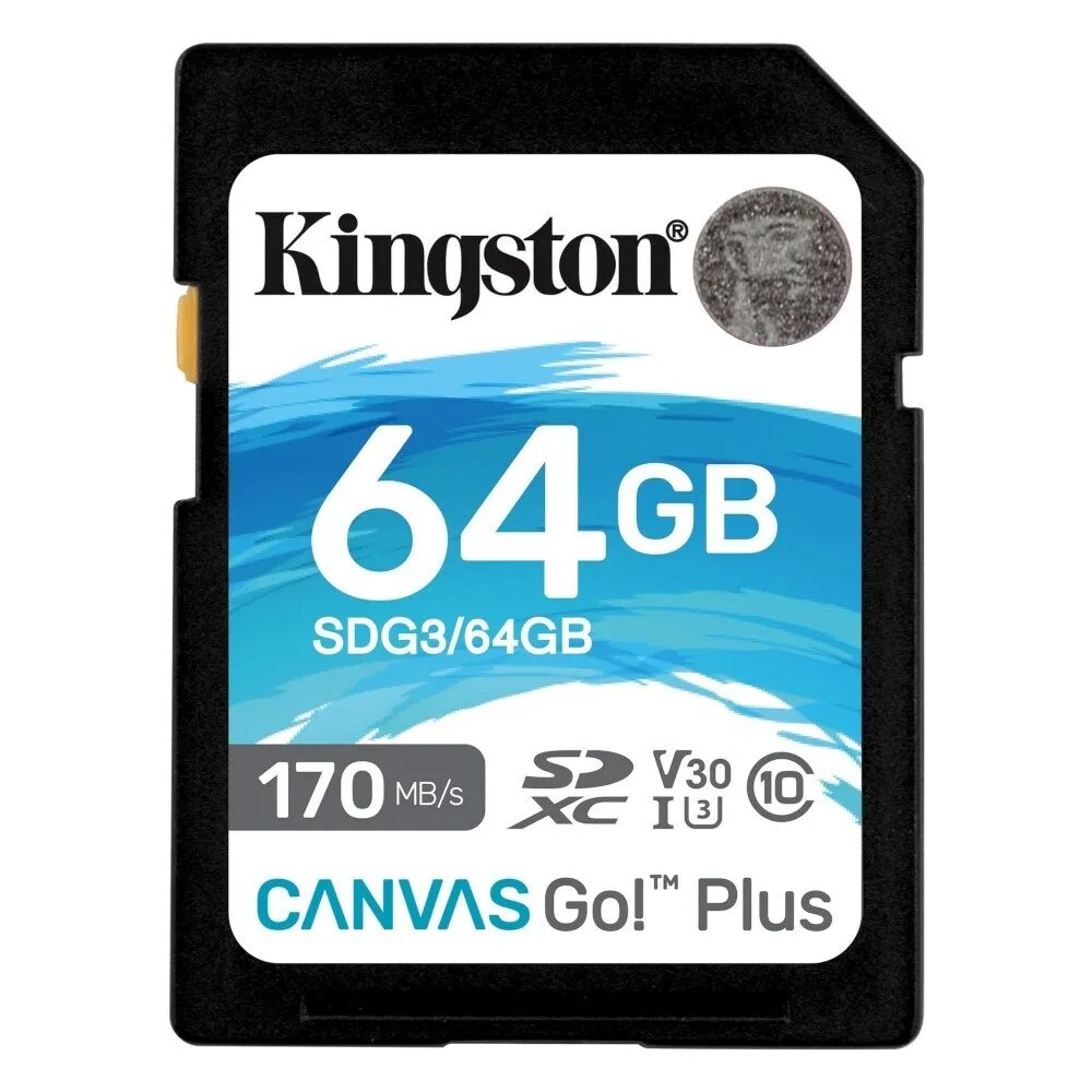 Памяти 64 128 гб. SDXC 128gb Kingston. Карта памяти Kingston Canvas go! Plus SDXC 128 ГБ [sdg3/128gb]. Kingston SD 32gb class 10. Kingston SD 64gb.