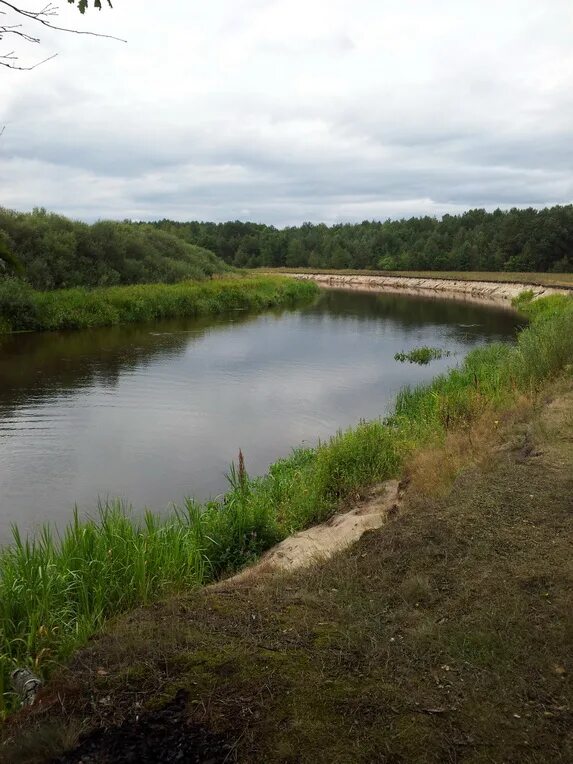 левый приток реки щара 4 буквы. деревня щара. левый приток реки щара 4 буквы. усса (приток немана). река нева исток и устье на карте.