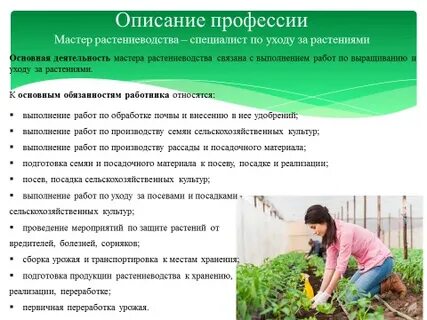 Профессии в сфере растениеводства