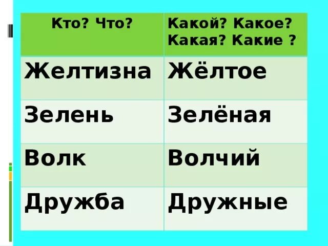 Зеленая ел какая какое. Какой какая какое какие. Какой какая какое какие 1 класс. Кто что какой какая. Какой какая.