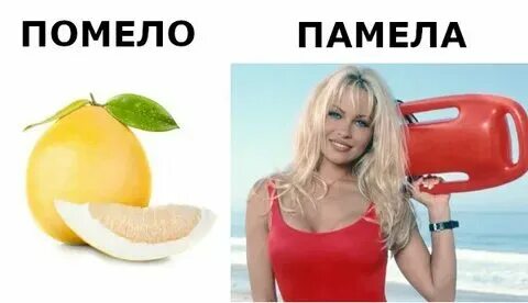 Помело фрукт ударение правильное