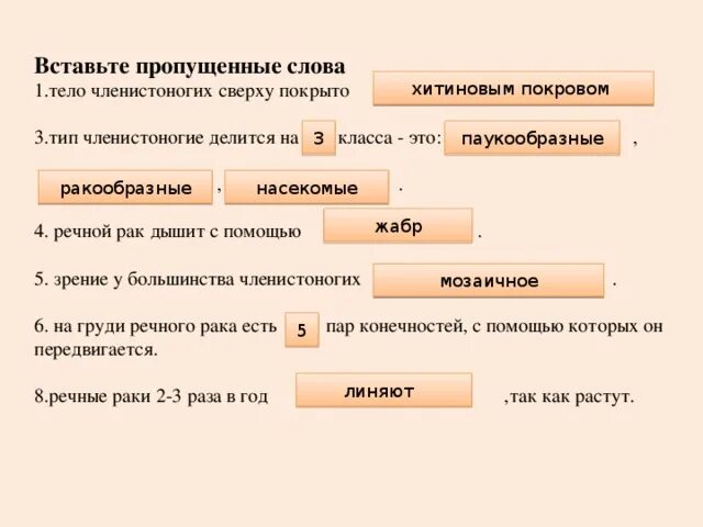 Вставьте в текст членистоногие пропущенные элементы. Вставьте в текст членистоногие пропущенные элементы