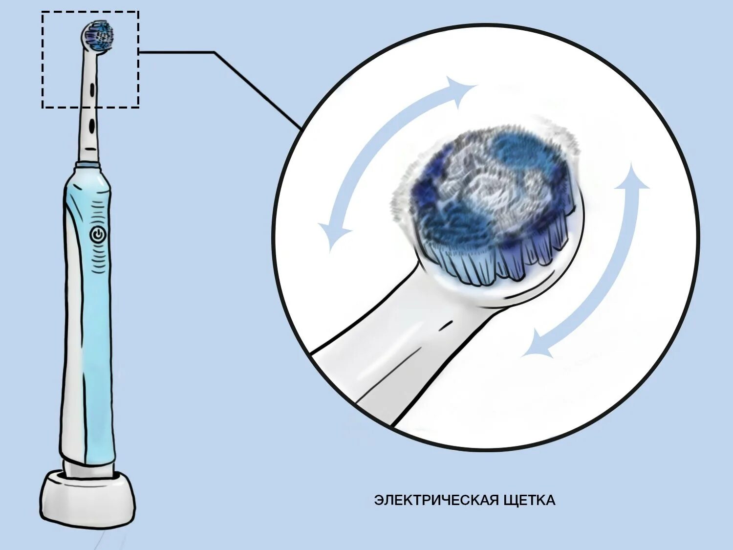 Почему электрическая щетка. Щётка электрическая зубная т200. Электрическая щетка для зубов. Строение электрической зубной щетки. Мануальная и электрическая зубная щетка.