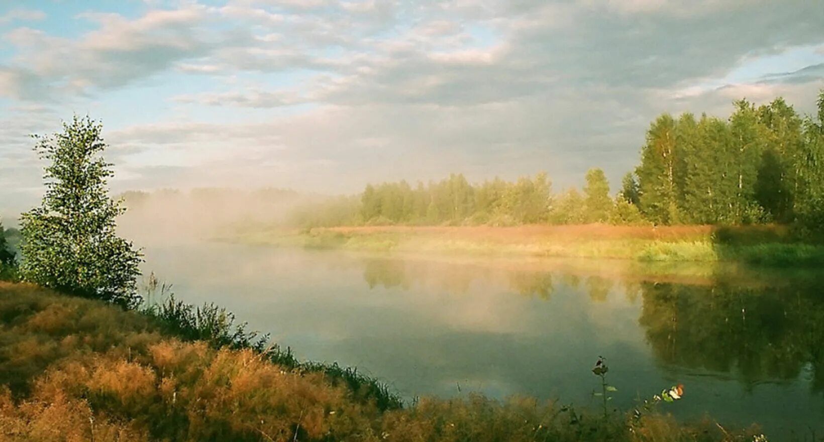 Мещера паустовский. Мещерский край Паустовский. Мещёра Паустовский. Мещера Константина Паустовского. Мещерские озера Паустовский Рязань.