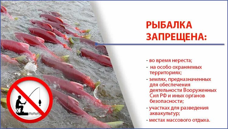 Запрещается рыболовство. Законодательство о рыбной ловле. Запрет рыболовства. Когда запрещена рыбалка. Запрет вылова великобритании
