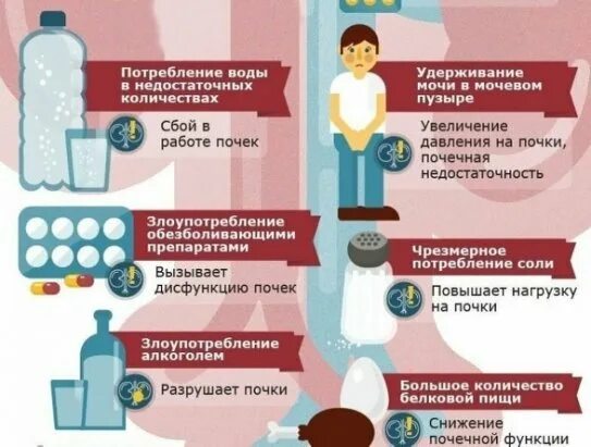 Питание для почек. Что полезно для почек продукты. Самые вредные продукты для почек. Друг ваших почек. Влияние сигарет на почки.