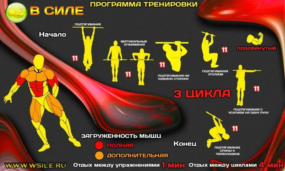 Программа для турника и брусьев на массу. Программа тренировок на турнике. план тренировок на турнике. программа упражнений на турнике. занятие на турнике программа тренировок.