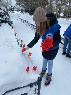 Акция красный тюльпан афганистан