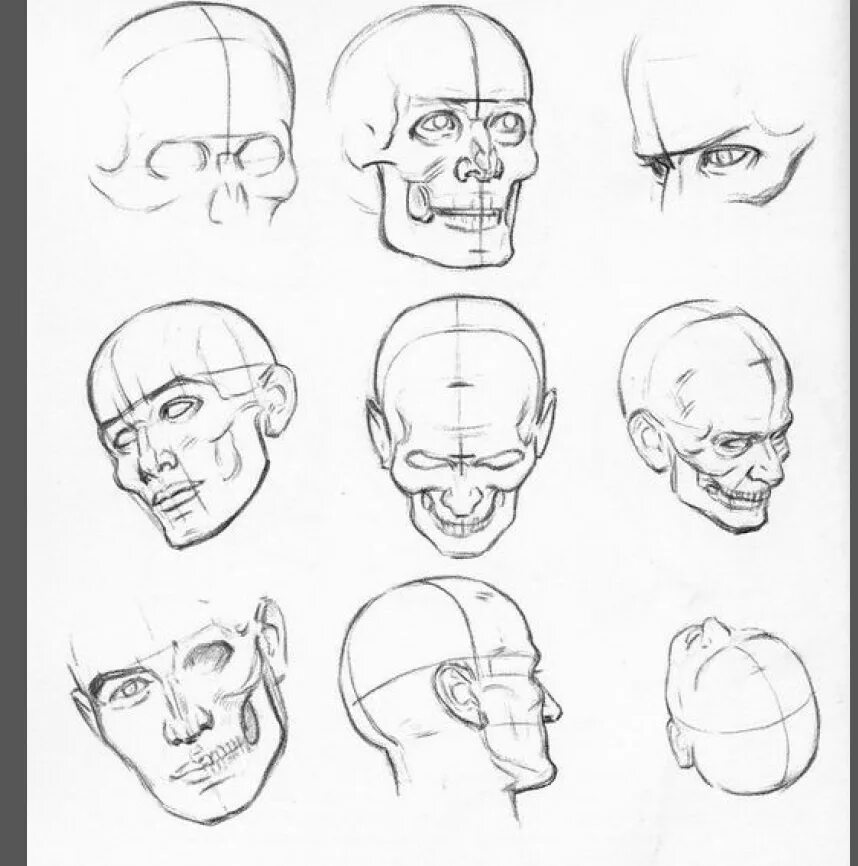 Ракурсы головы 3/4 снизу. Портрет в разных ракурсах. Рисование лица в разных ракурсах. Ракурсы головы для рисования. Референс головы человека