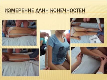 Абсолютная длина