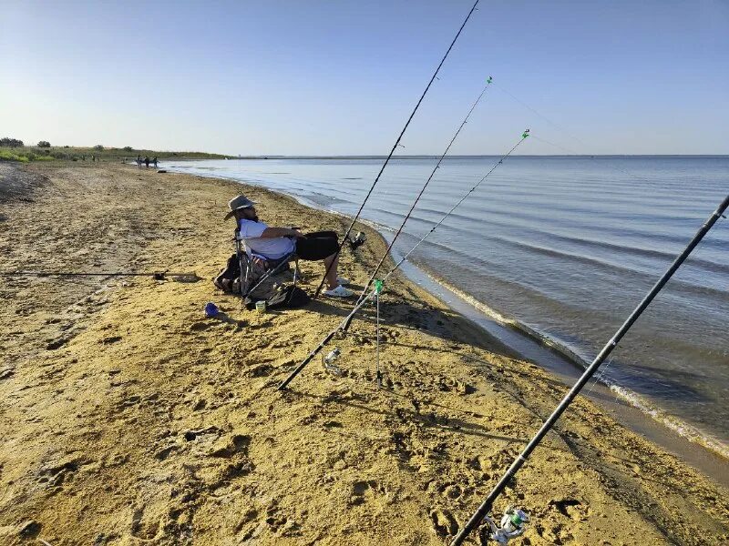 дул прохладный ветерок. ветер. ветерок на море. дул прохладный ветерок. китайская сказка девушка павлин книга с иллюстрациями.