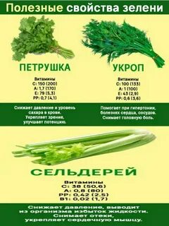 Калорийность петрушки свежей
