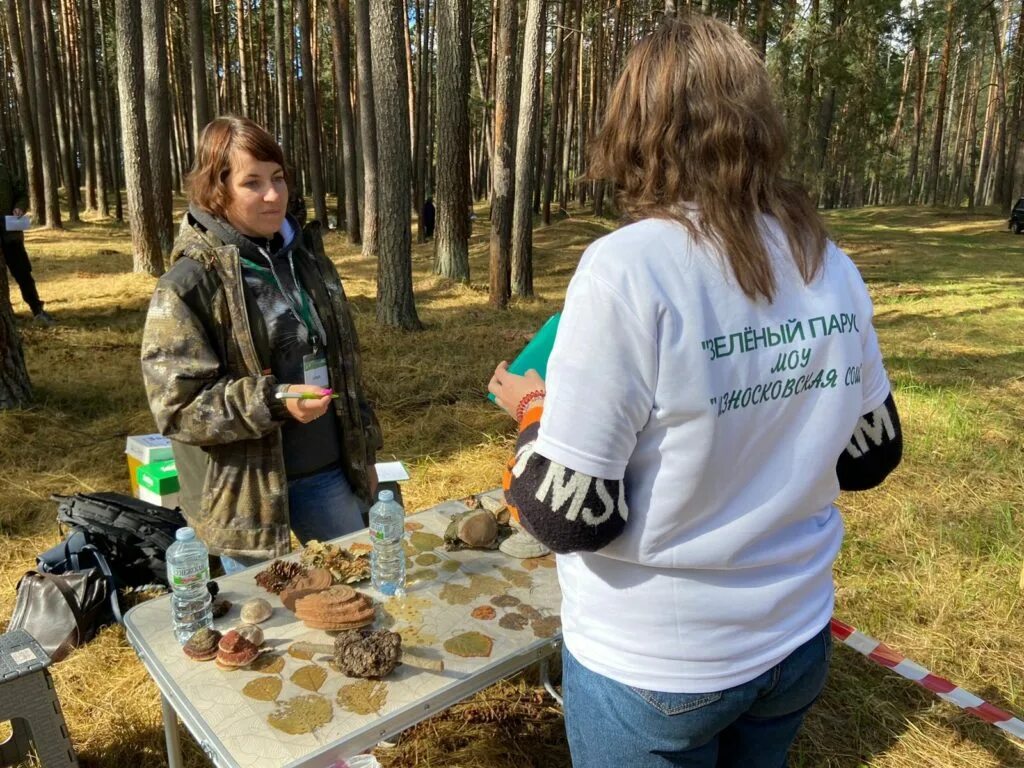 Ежегодный конкурс. Слет лесничеств. Юный Лесник. Краевые сборы школьных лесничеств. Соревнования лучший по профессии Сабинского лесхоза.