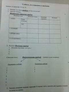 Параграф 10 6 класс
