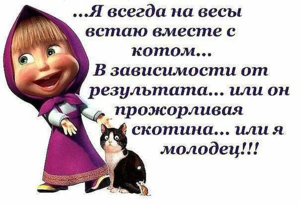 Весы шутки. Шутки про лишний вес. прикольные фразы про диету. смешные высказывания про диету. смешные цитаты про похудение и диеты.