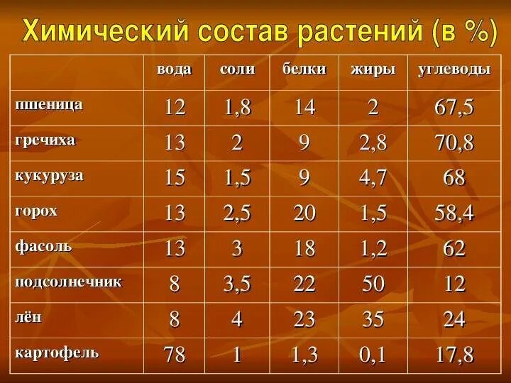 Содержание белка в фасоли на 100 грамм. Химический состав таблица. Химический состав растений. Химический состав растений таблица. Макадамия жиры белки углеводы.