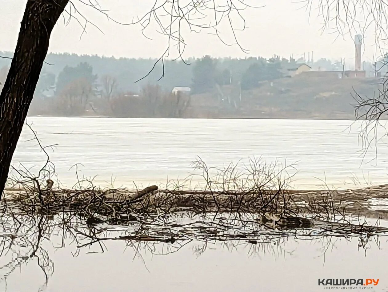 Уровень воды в оке в луховицах сегодня. Разлив Оки в Кашире. Ледоход. Ледоход на Оке. Ледоход на Оке Кашира.