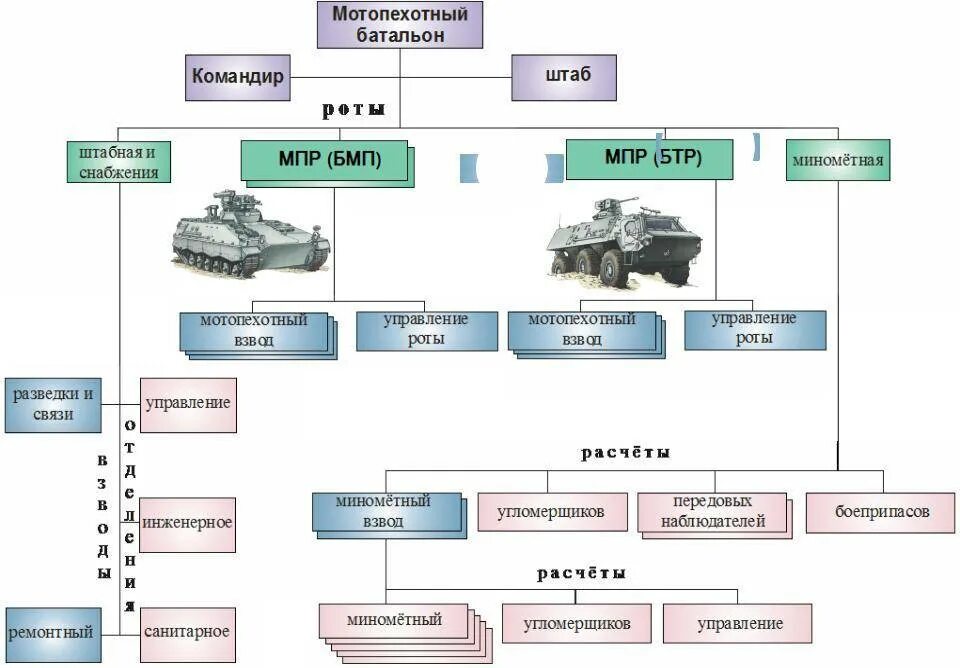 Боевая группа задачи. Структура батальона армии России. Численность мотострелкового полка вс РФ. Организационно-штатная структура танкового батальона армии России.