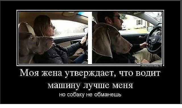 Водитель оказался и любовником что надо