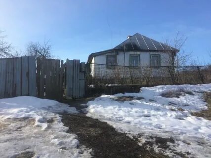 Дома медвенка