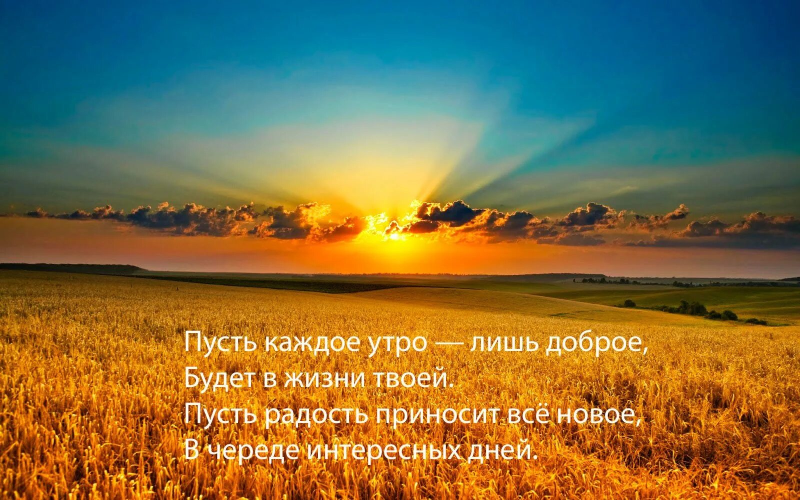 Есть слова утро а утро. Стихи с добрым утром. Доброе утро стихи. Стихи про утро. Стихотворение доброе утро.