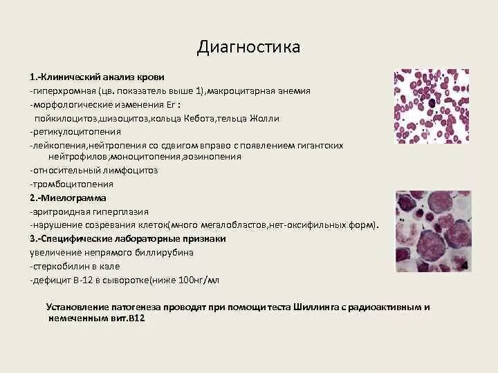 В12 анемия анализ крови показатели. Гиперхромная анемия анализ. Гиперхромная макроцитарная анемия анализ крови показатели. Показатели крови при мегалобластной анемии.