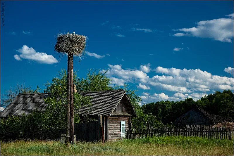 Про белорусскую деревню