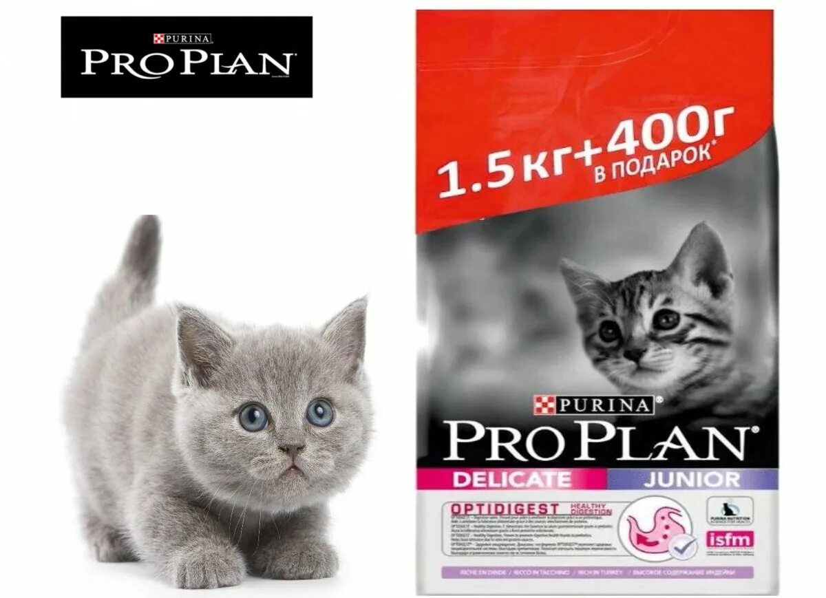 Проплан 400+400. Pro Plan акция для кошек. Акция Проплан для кошек 400+400. Акция на Проплан для кошек. Премьер для кошек купить