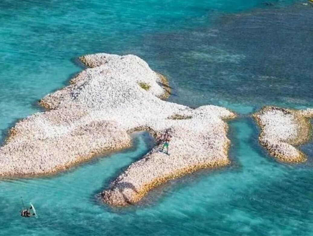 Shell island. Анегада архипелаг ракушки. Остров из ракушек Карибского моря. Анегада остров. Раковины архипелаг.