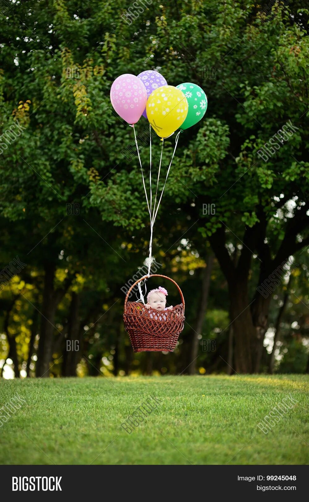 Корзина для фотосессии с воздушными шарами. Корзина с воздушными шарами для фотосессии. Воздушный шар с цветами в корзине. Ребенок в корзине с шарами. Воздушный шар с корзиной для фотосессии.
