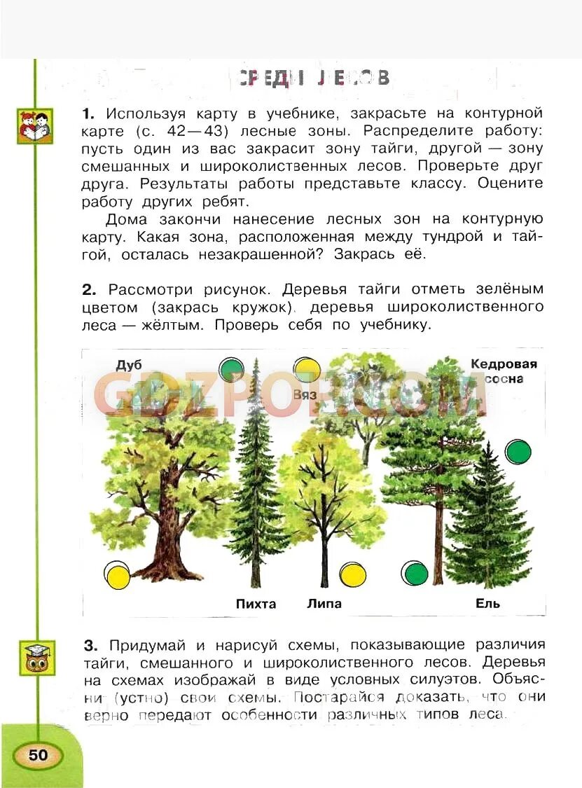 Деревья тайги отметь зеленым. Придумай и Нарисуй схемы показывающие различия тайги. Деревья тайги 4 класс окружающий мир рабочая тетрадь. Отметь зелёным цветом деревья широколиственного леса желтым.