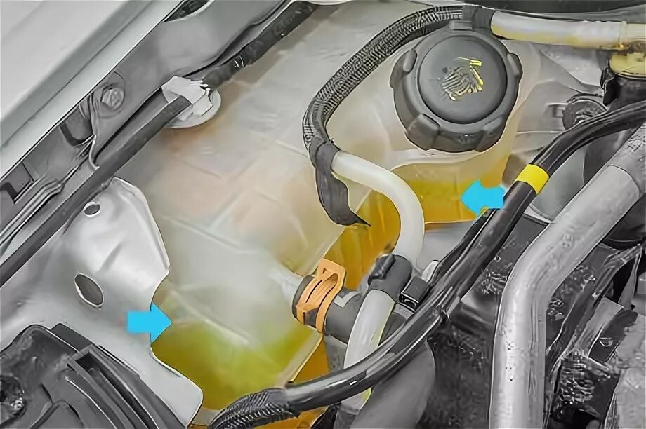 Антифриз меган 2. Система охлаждения renault logan 1.6 16v. система охлаждения двигателя рено логан 1.6. заглушка системы охлаждения двигатель рено логан 1.6. обратка системы охлаждения меган 2.