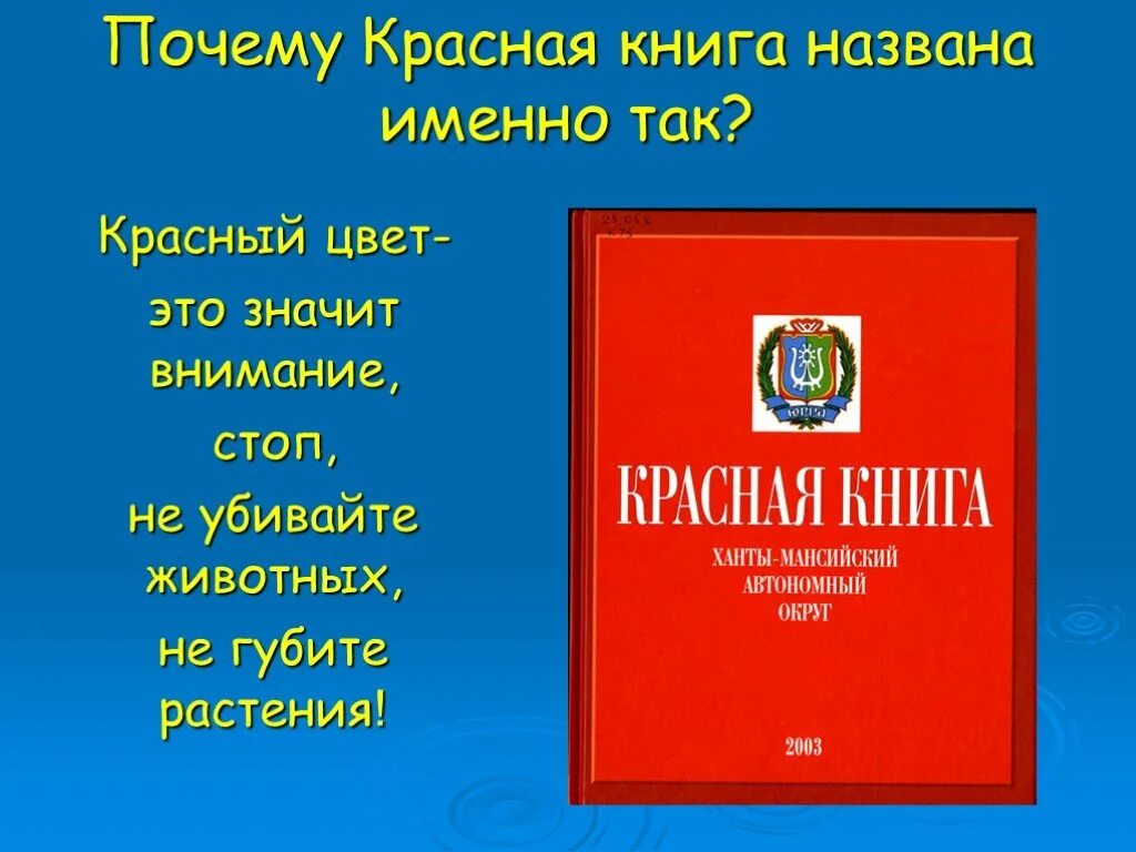 Почему красный быстрее. Красная книга. Почему красная книга красная. Красная книга почему так называется. Почему книгу назвали красной книгой.