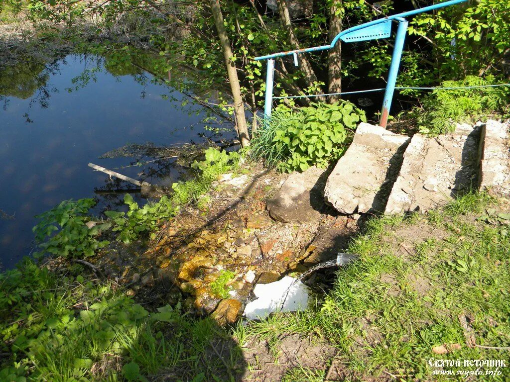 Курские родники. Родник Курская область. Гостомля Курская область Медвенский район. Никольское Родник Курск. 2-Я Гостомля Курская область.