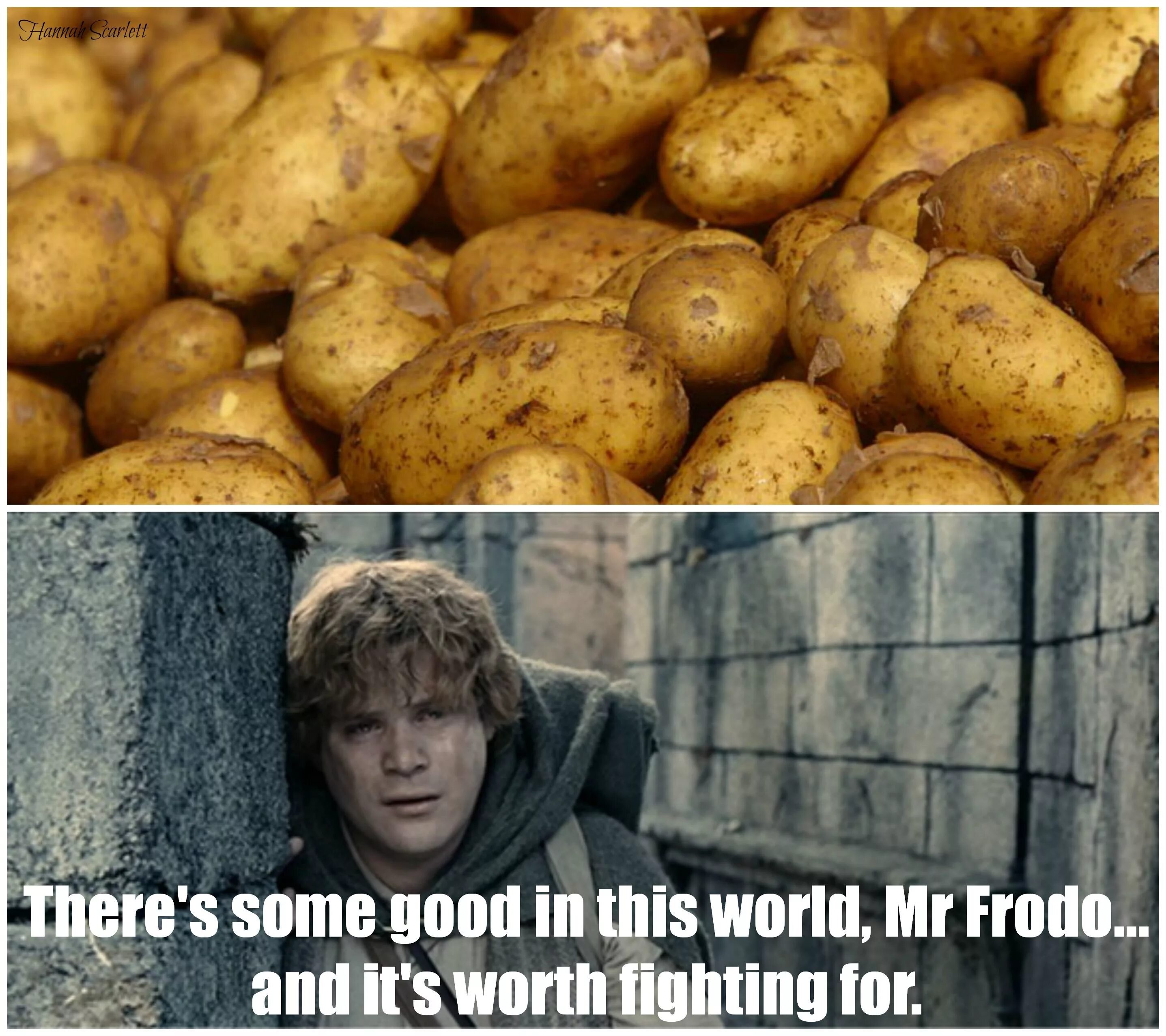 Can i have some potatoes