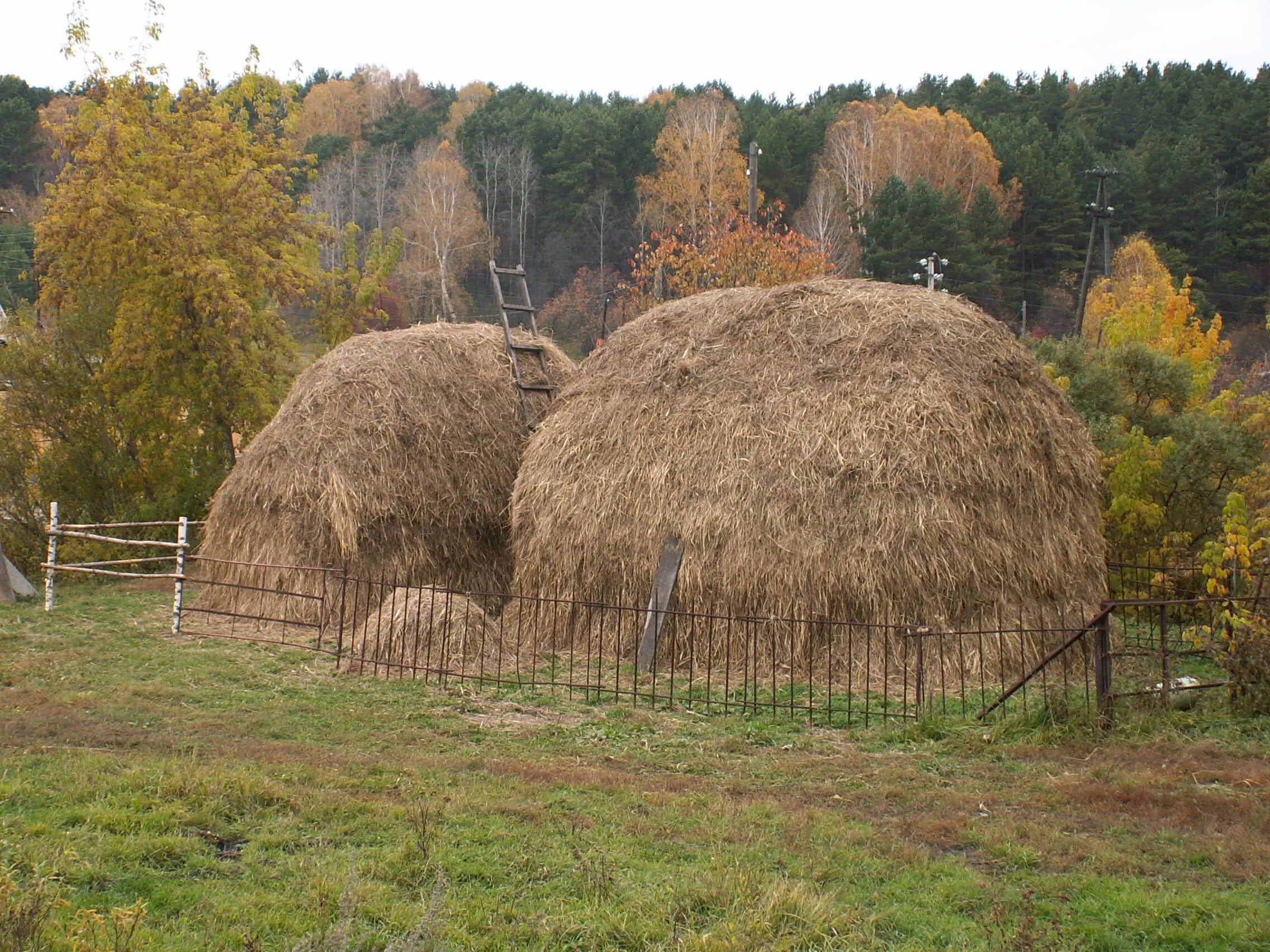 Сено 1 класса. Сенокос Скирда. Скирда Омет. Сено стог Скирда. Что такое стог Скирда зарод и копна.